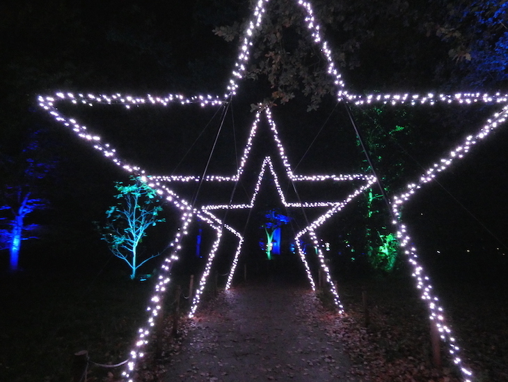 Star Arches Kew Gardens